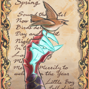 DMC Little Boy Full of Joy